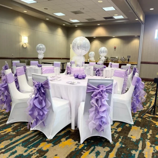 Chair Covers and Sashes